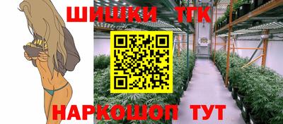 тгк Кингисепп