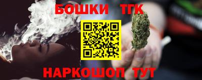 тгк Кингисепп