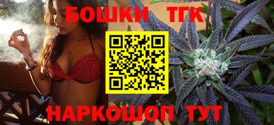тгк Кингисепп