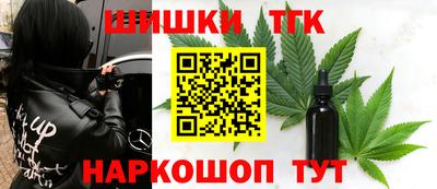 тгк Кингисепп