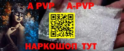 тгк Кингисепп